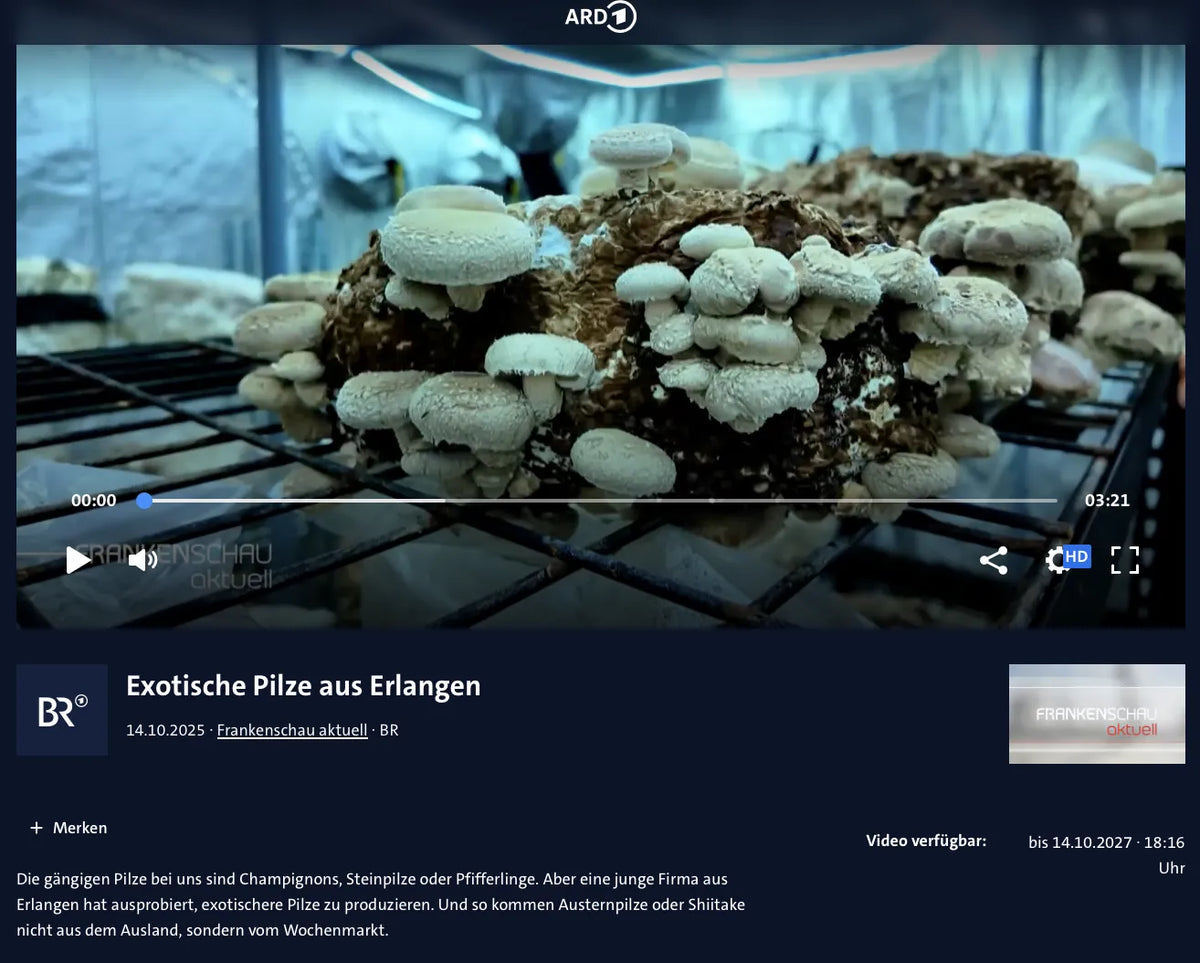 Screenshot of the BR Mediathek showing the Frankenschau feature “Exotic mushrooms from Erlangen”