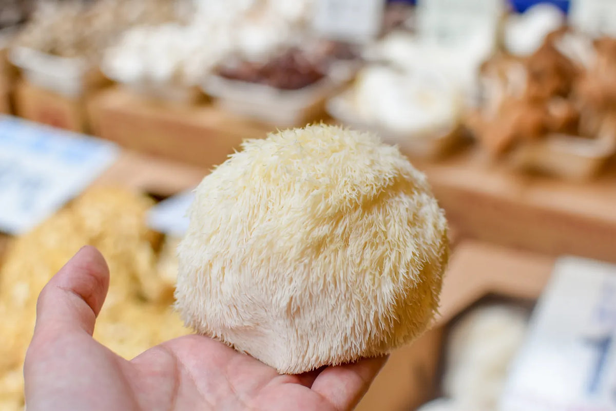 Hand holding a white, shaggy lion's mane above a market stall
