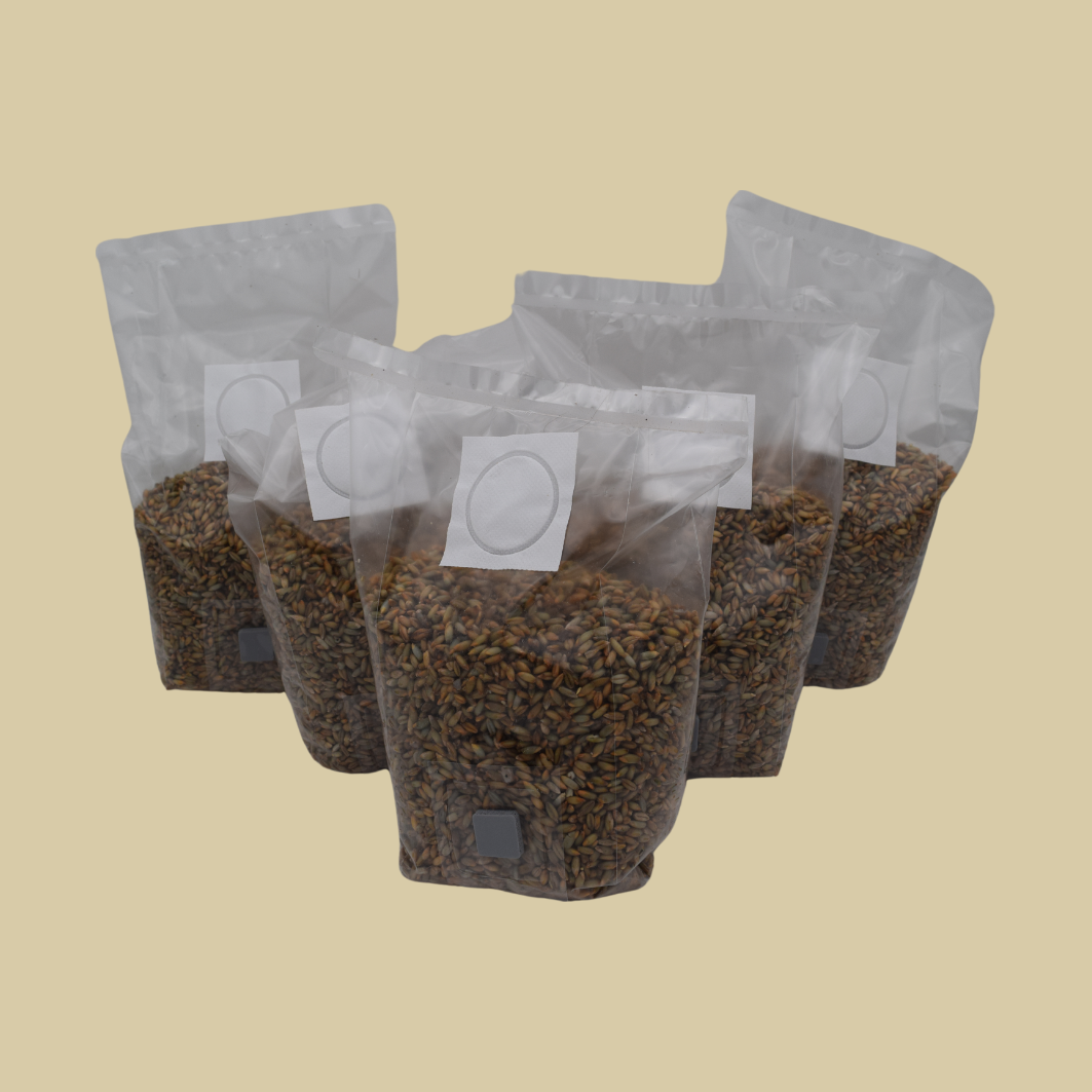 Weizensubstrat steril (Liter Growbags)