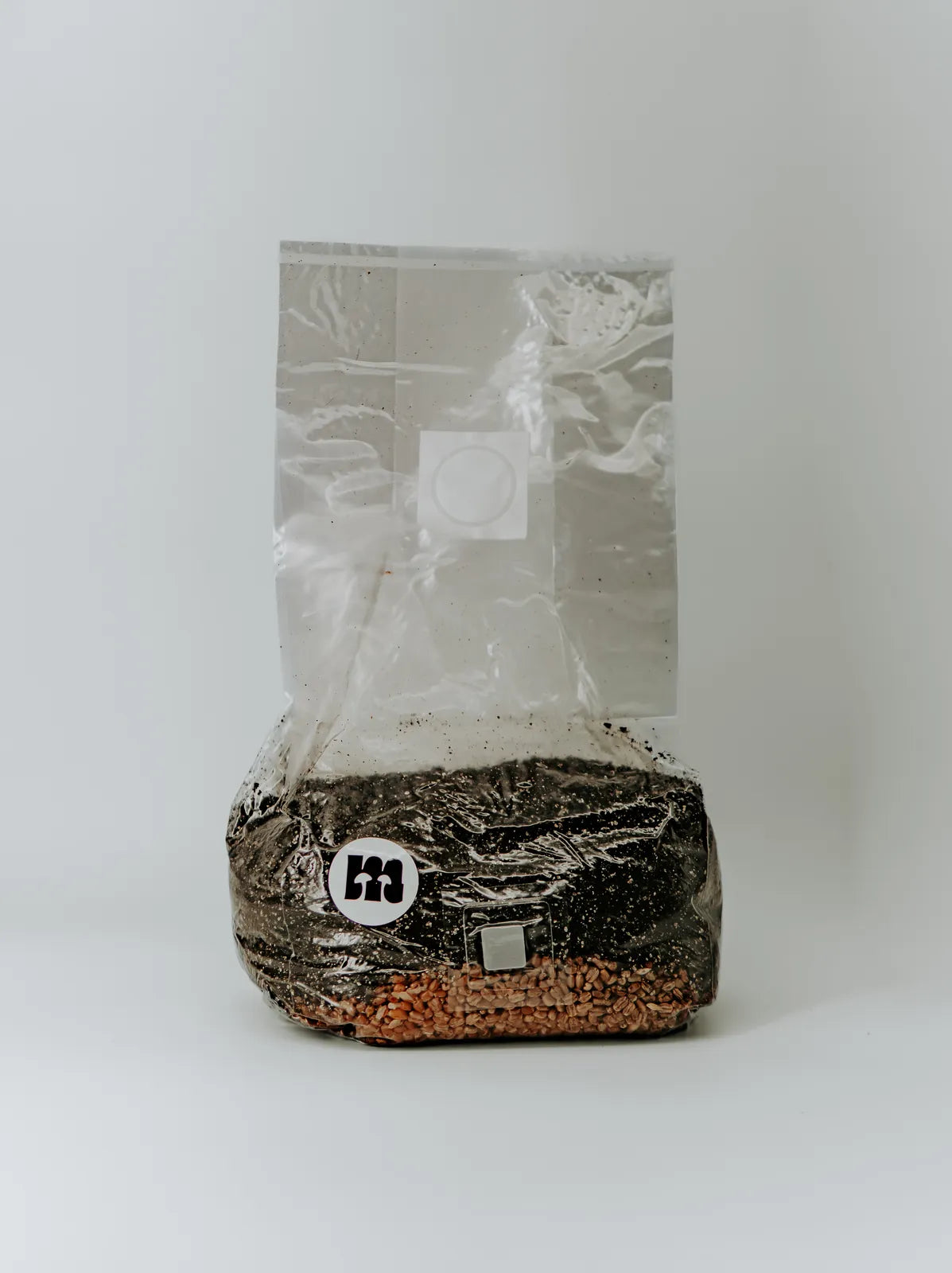 All-in-one grow bag with CVG substrate and wheat grain, standing upright