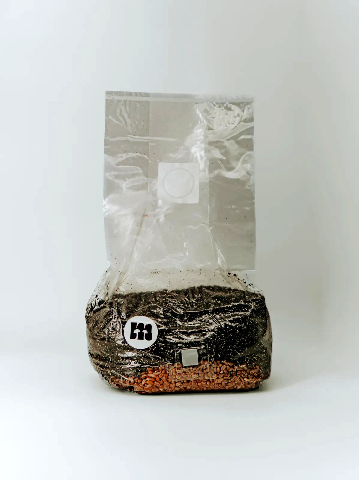 All-in-One Grow Bag mit CVG-Substrat und Weizenkörnern, stehend