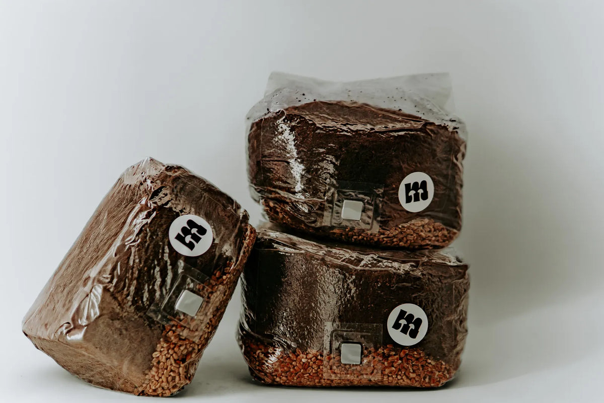 Three stacked all-in-one grow bags with Meisterpilze sticker