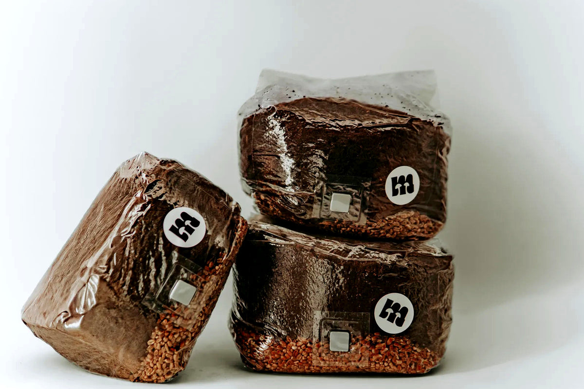 Drei gestapelte All-in-One Grow Bags mit Meisterpilze-Aufkleber