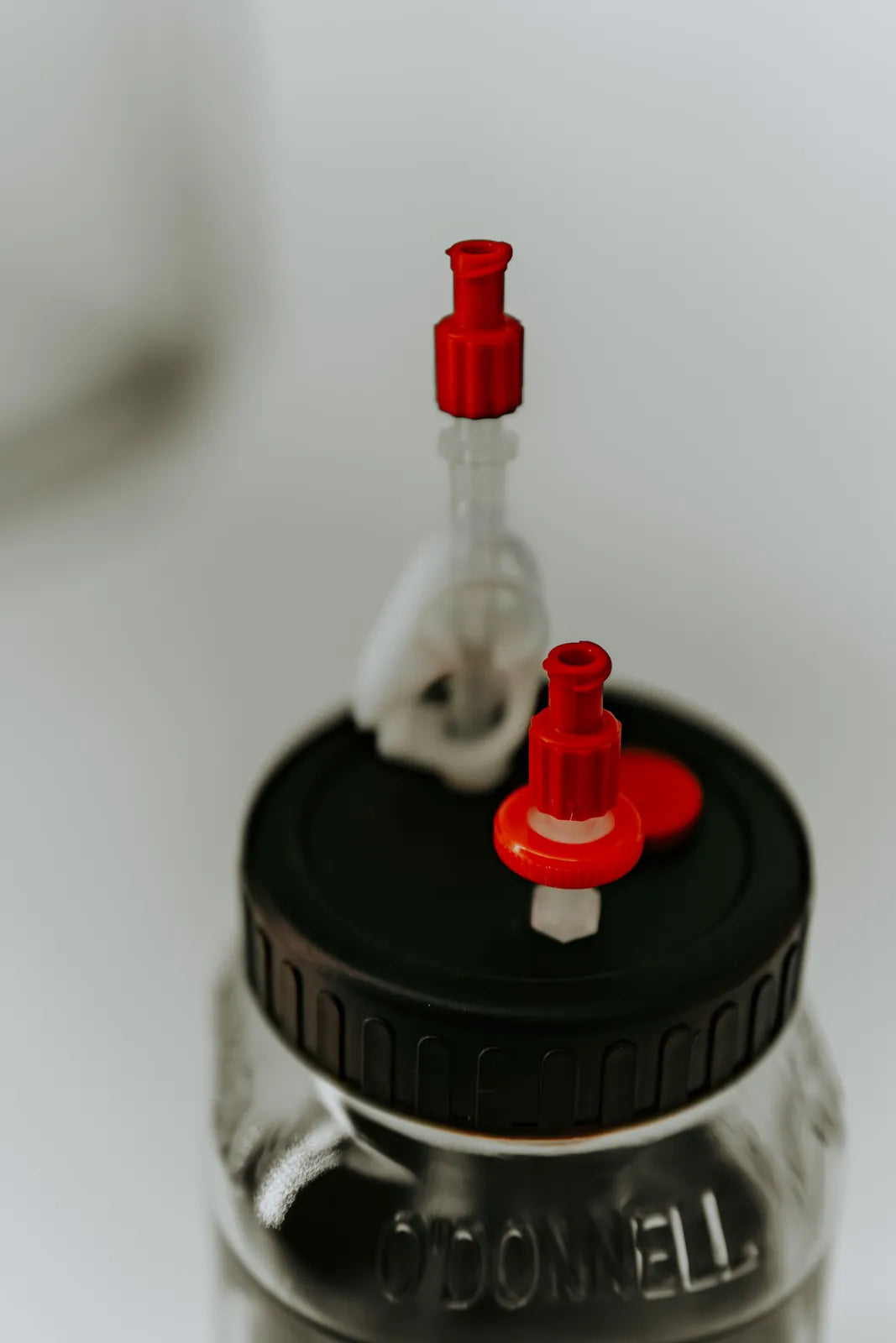 Detail of the lid with injection port and air filter