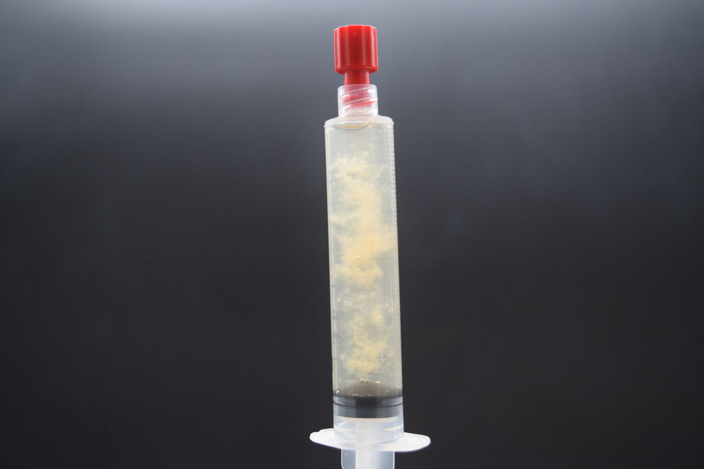 Flüssigkultur lebend – 10 ml Spritze mit steriler Nadel