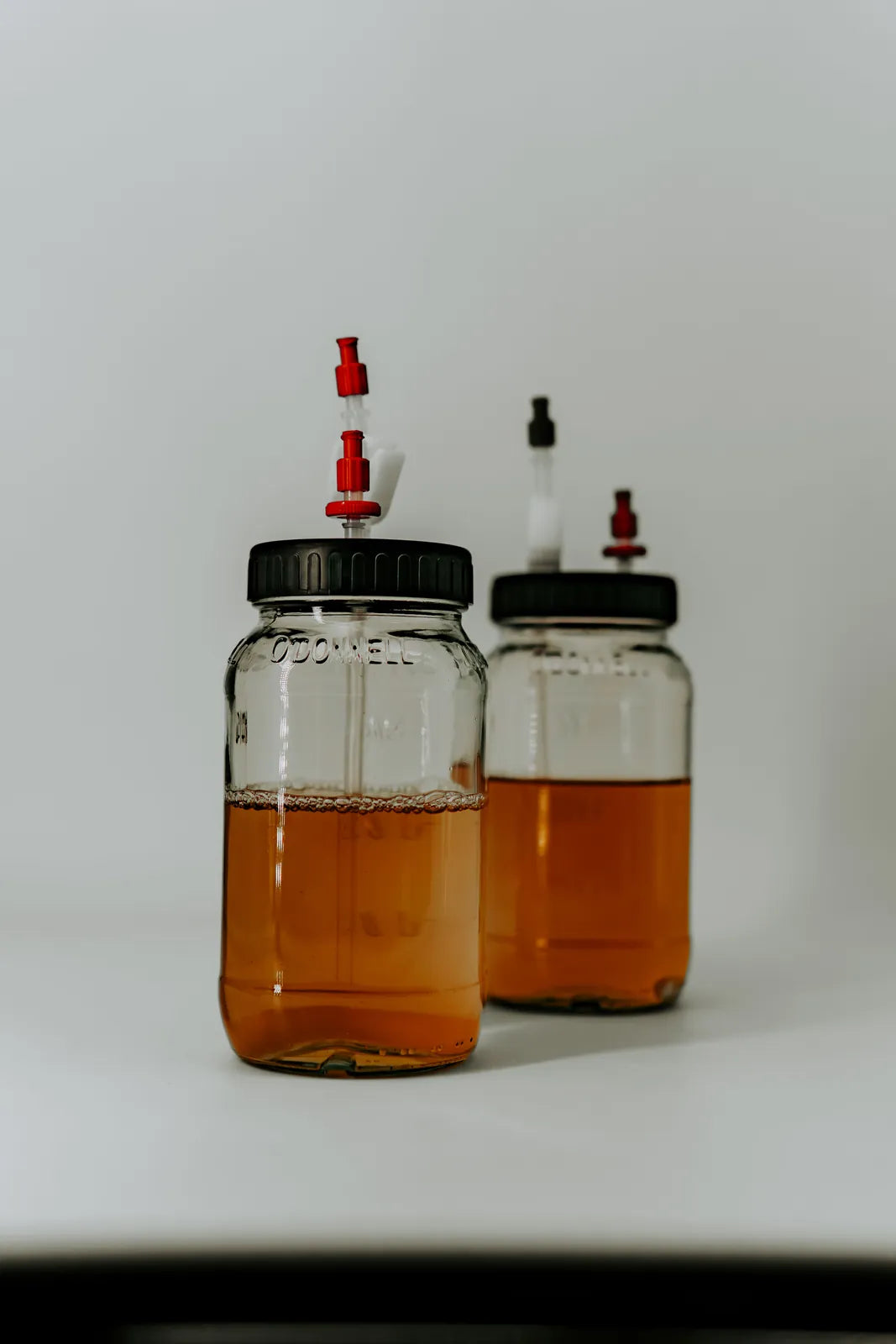 Two liquid culture jars with nutrient solution and Luer-Lock lids