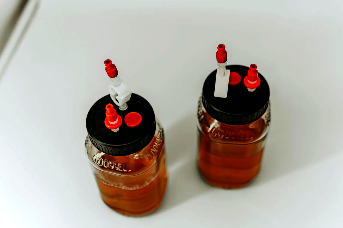 Die beiden Gläser mit rotem Injektionsport von schräg oben