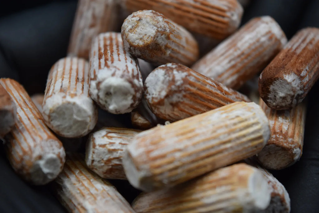 Primo piano di tasselli di inoculo in faggio ricoperti di micelio bianco