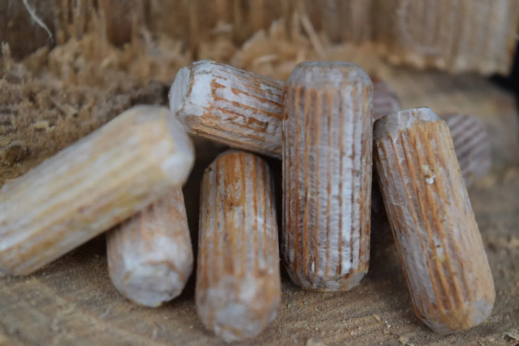 Tasselli di inoculo con micelio su segatura