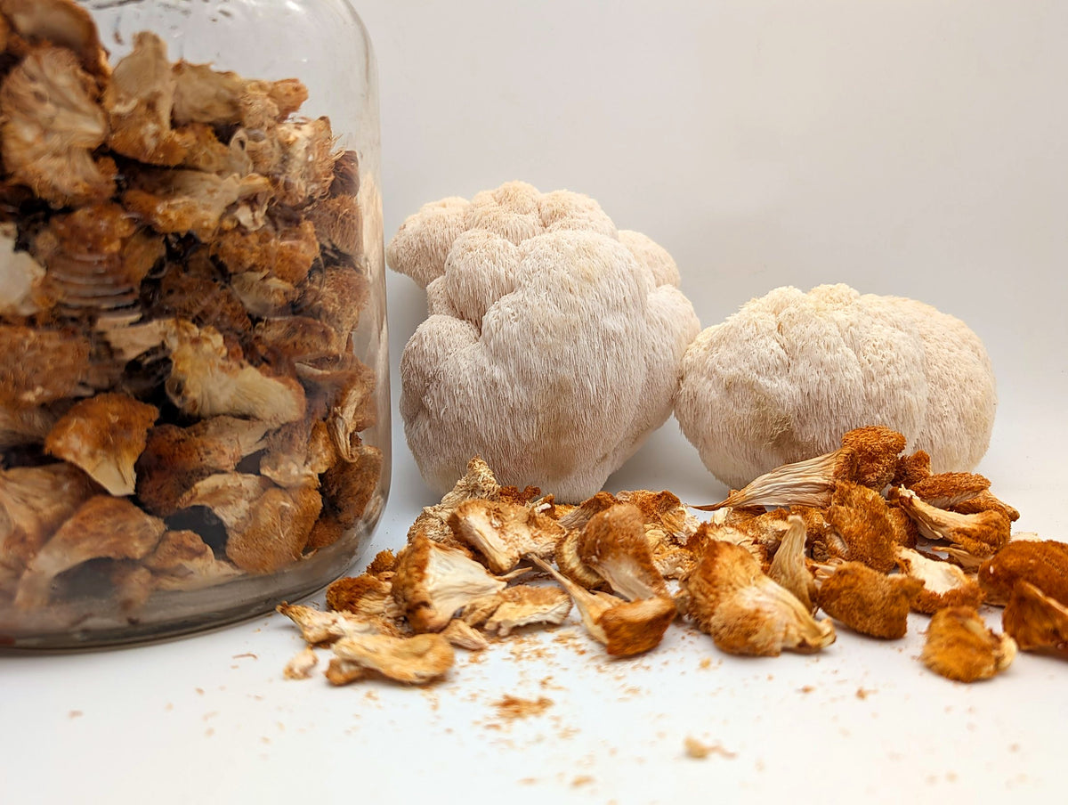 Getrockneter Lion's Mane im Glas neben frischen Igel-Stachelbart-Pilzen