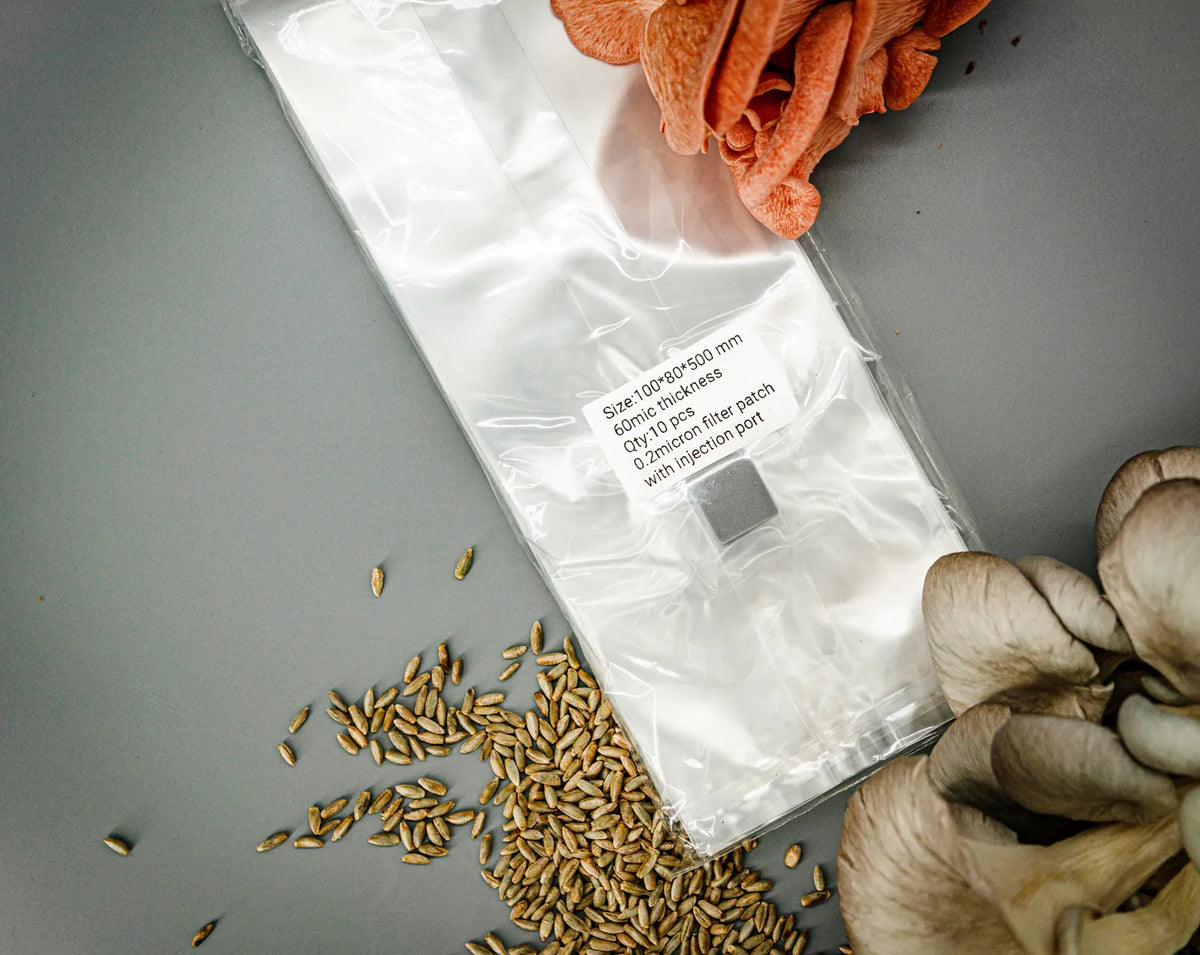 Microfilter bag 10×8×50 cm lying flat with label and injection port, mushrooms beside it