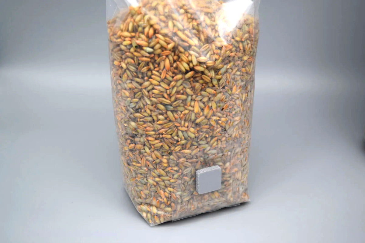 Mit Körnern gefüllter Mikrofilter-Beutel, stehend