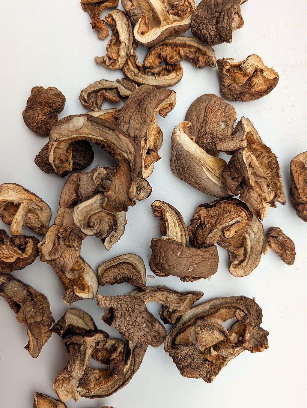 Getrocknete Shiitake-Stücke von oben auf hellem Untergrund