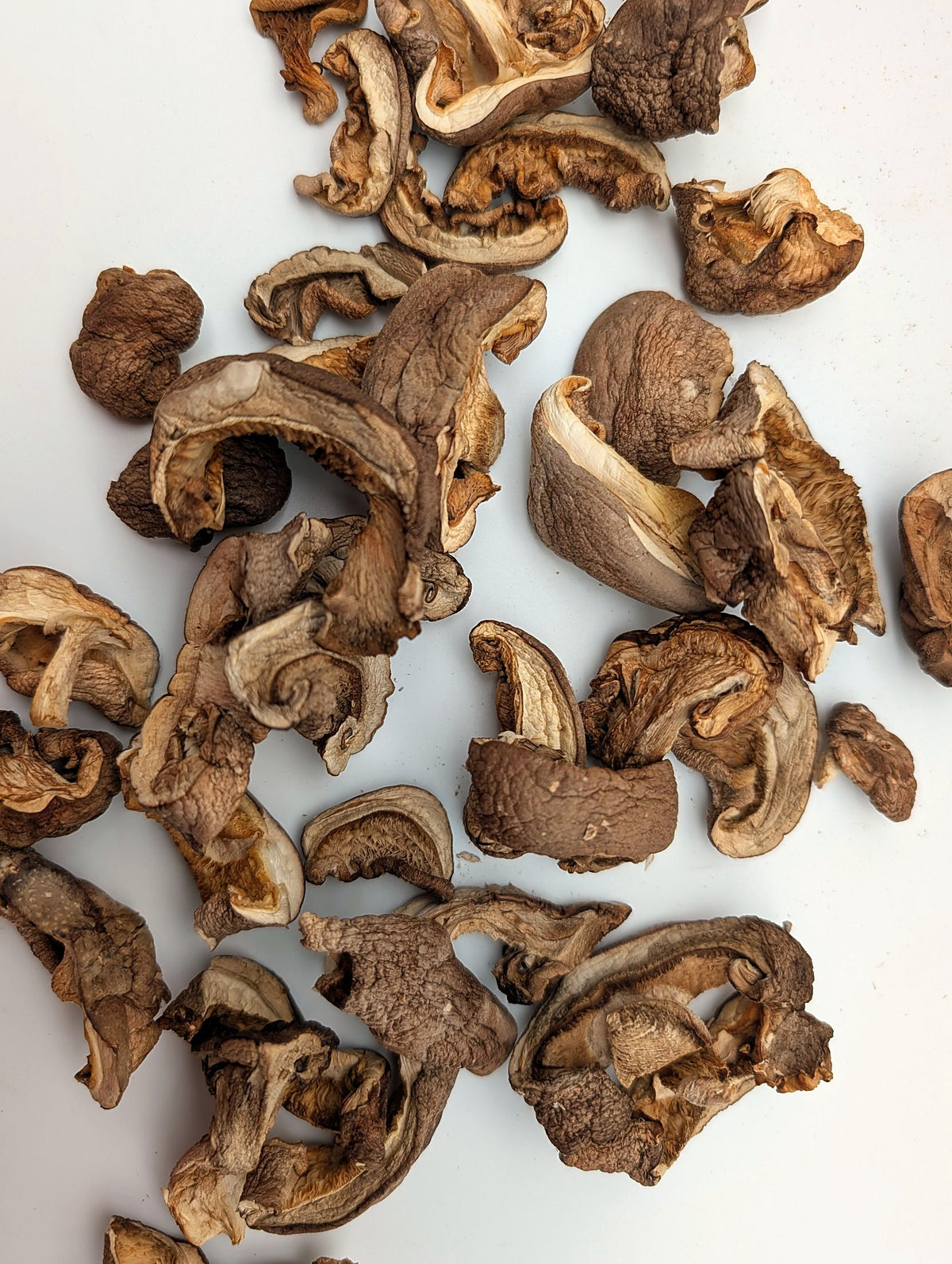 Getrocknete Shiitake-Stücke von oben auf hellem Untergrund