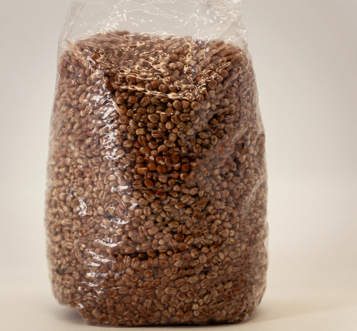 Gefüllter Weizen-Growbag von vorn