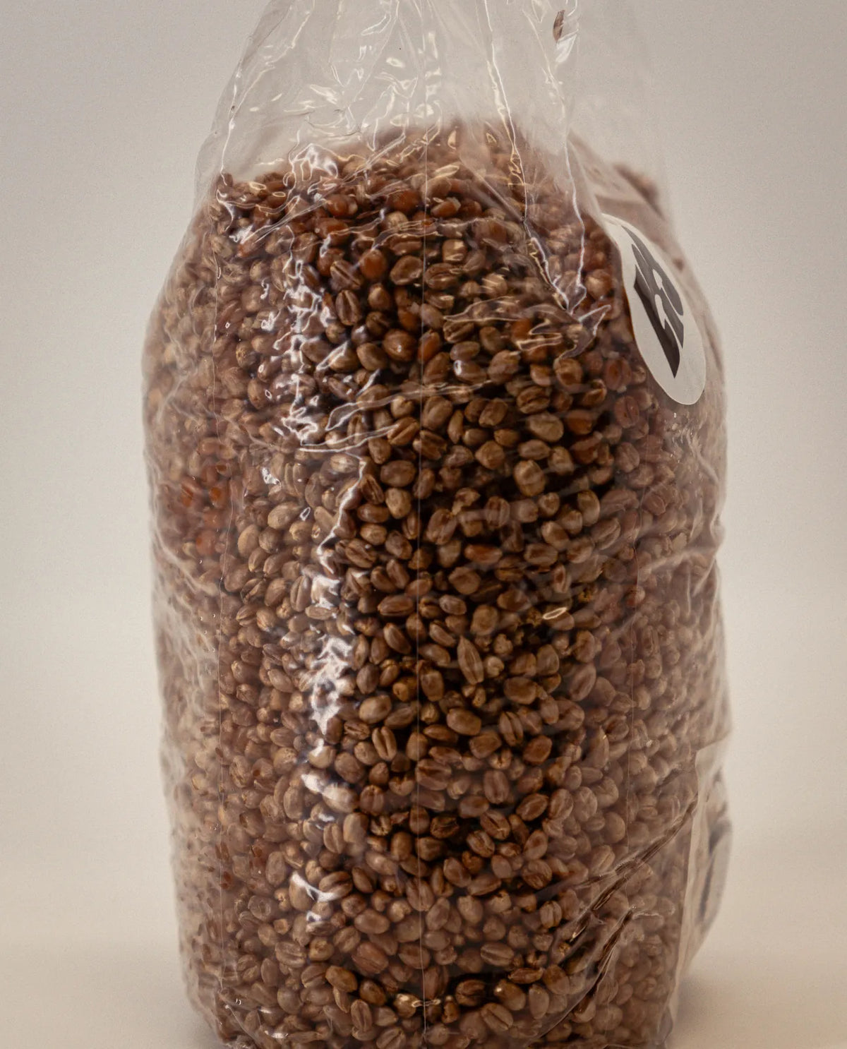 Weizen-Growbag schräg von der Seite