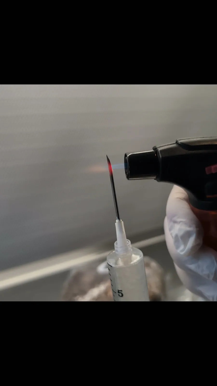 Una mano enguantada flamea la aguja de una jeringa de inoculación