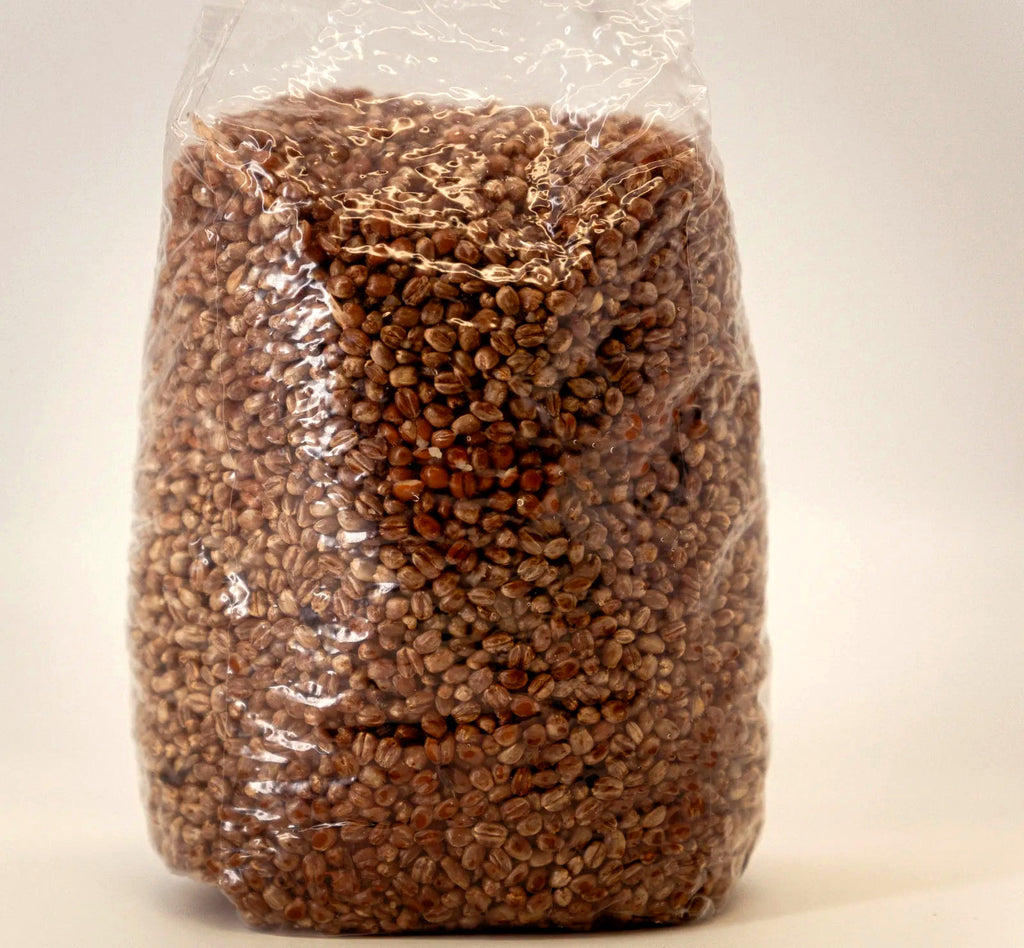 Gefüllter Weizen-Growbag von vorn