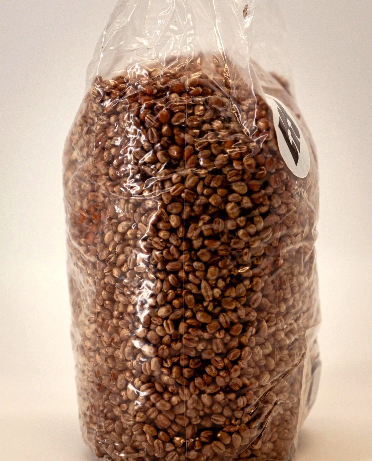 Weizen-Growbag schräg von der Seite