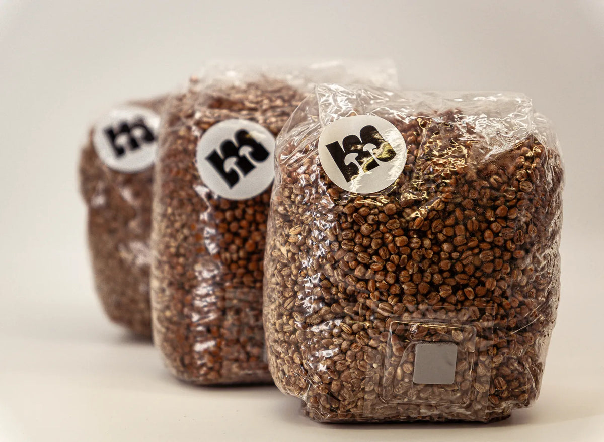 Drei Weizen-Growbags nebeneinander mit Meisterpilze-Aufkleber