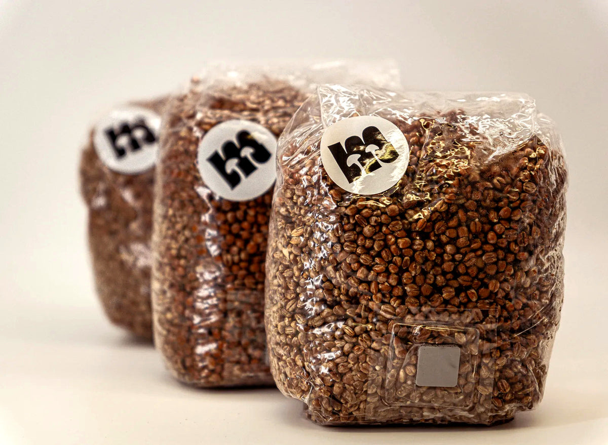 Drei Weizen-Growbags nebeneinander mit Meisterpilze-Aufkleber